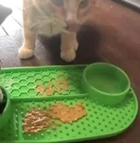 猫食垫舔垫