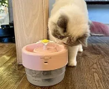 猫饮水器